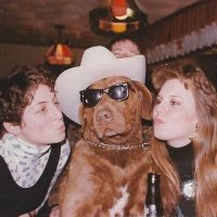 B. R. Roberts (@musingsofbr) 's Twitter Profile