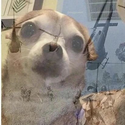 yassermuayed's profile picture. وحيدٌ من الخلاّن في كلّ بلدةٍ 
إذا عَظُمَ المطلوب قلَّ المُساعِدُ