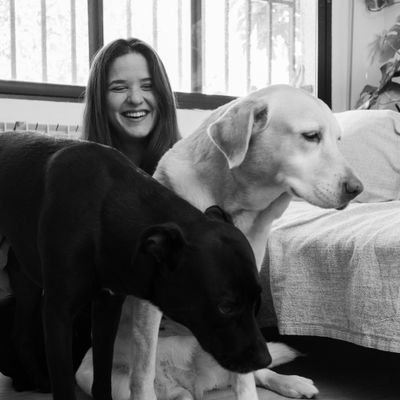 Aquí no hablo mucho de perros.
✨ Tuits random sin mucho sentido ✨.