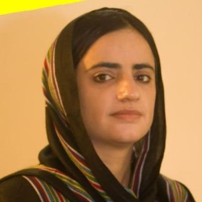 FreeBaloch_01's profile picture. 