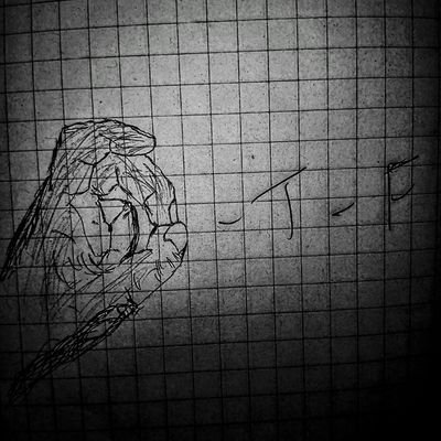 societyhateskev's profile picture. artist