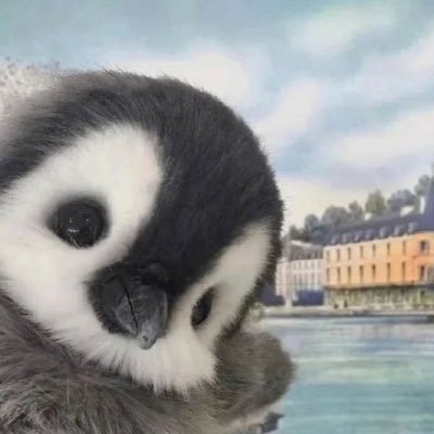 _cnpcws's profile picture. 希望你永远幸福 ✨