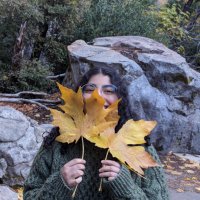 Reema Rafifar (@reema_rafifar) 's Twitter Profile