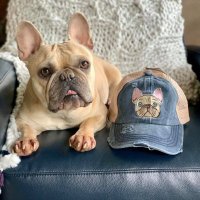 william h wilde (@williamhwilde1) 's Twitter Profile