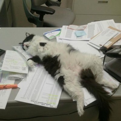 conta pra interagir e falar sobre os estudos pre vest :) primeiro ano de cursinho med