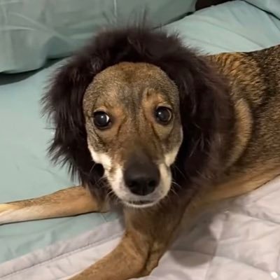 cherkasovfilm's profile picture. 