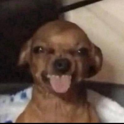 ameliaemmersonx's profile picture. 