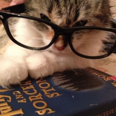 possibleforsure's profile picture. yok kardeşim değil possible falan