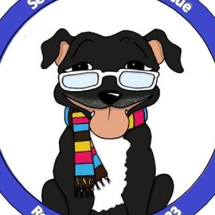 Senior Staffy Club Dog Rescueさんのプロフィール画像