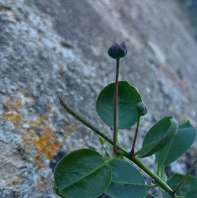 Ionodon's profile picture. ..........................................
...RT to nie poparcia...