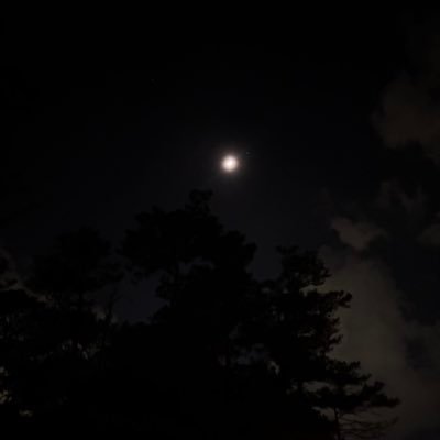 ms2lucki's profile picture. just a stud that realized i might like men too (18+) (im dl😭 might show u my face if im comfortable enough)