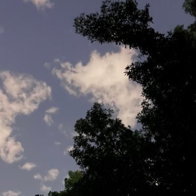 llille20's profile picture. شخص لايجيّد التعارف ولا وده .