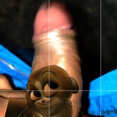 MalumaOvie3394's profile picture. Me gusta follar