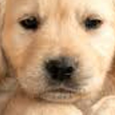 wumings1022's profile picture. go to crypto hill'Reddio