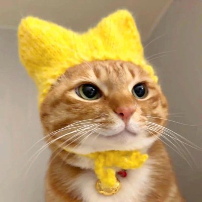 turtyery's profile picture. 日語,一點點變得難,不過,那個快樂📚🇯🇵
相信通過說日語,可以和日本的人們進行更深入的交流✨