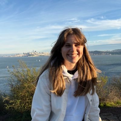 AdelMuursepp's profile picture. swe @ palantir | gsoc’25 @ deepmind | i love compilers and security