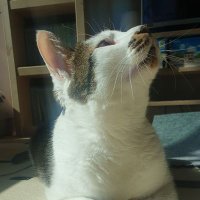 새로운대한민국! (@weandre) 's Twitter Profile Photo 새로운대한민국! (@weandre) 's Twitter Profile Photo