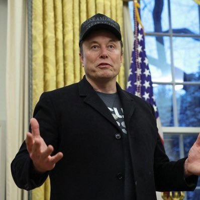 ersk7535's profile picture. ceo Tesla motors