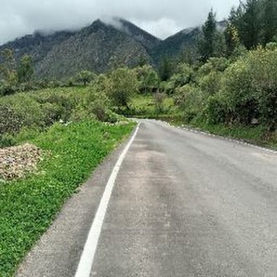 karlz_t45647's profile picture. 