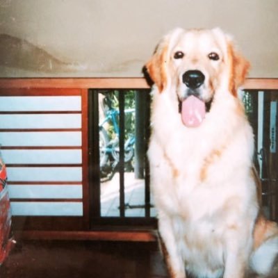 A_KEENER's profile picture. a&r, artist agent, artist management