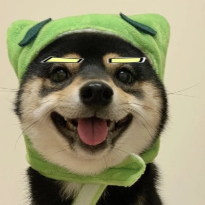 Murphy_zy0506's profile picture. 