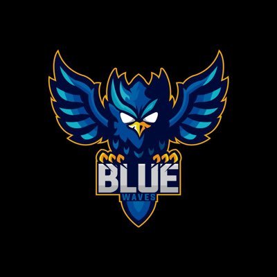 Blue Waves Profile