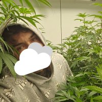 Curtz (@curtz516) 's Twitter Profile