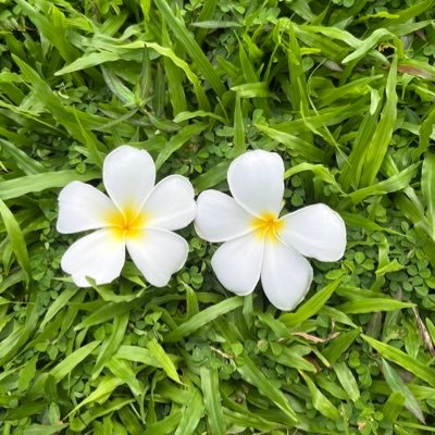 TeerukSuthawi's profile picture. 