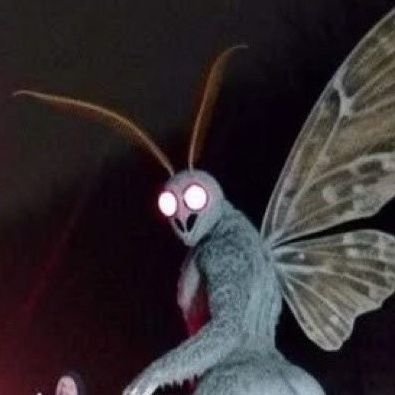 darrwinsmoth's profile picture. Moth frenzy and moth lover