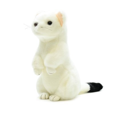 northrop1_'s profile picture. 