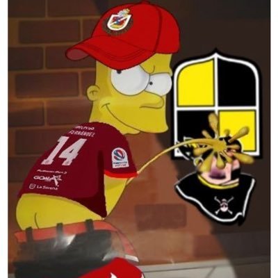 Serenense, chileno y papayero🇱🇻, La vida por los colores.