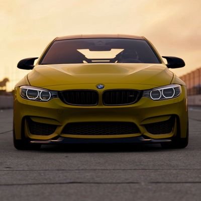 AK_BIRDO's profile picture. 