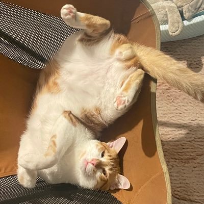 mpsujittra's profile picture. 