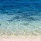 SenRui18299's profile picture. 