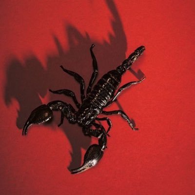 🦂🇺🇸🌴scorpiocartel.eth 🦅🦇🍓🇨🇴♏️🦂✨zodiac👑last seen in houston