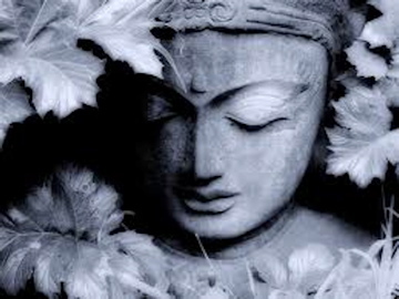 kalalingham's profile picture. 