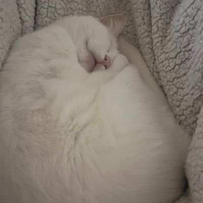 mirjimarchuk's profile picture.