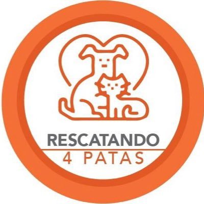 rescatando4pata's profile picture. Rescatando4patas🐶