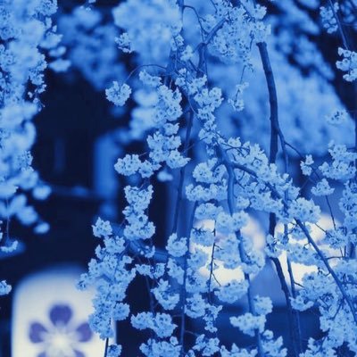 uncode____'s profile picture. きっと貴方は見守っている