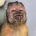 MANDRILL PETRISTE (@marulo04) Twitter profile photo MANDRILL PETRISTE (@marulo04) Twitter profile photo