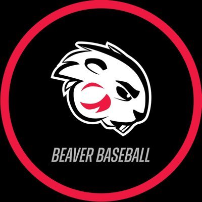 Official Twitter Account of Blackburn College Baseball 🦫 || NCAA Dlll @SLIAC ||