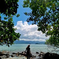 caa (@projenside) 's Twitter Profile