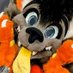 Spark the Bat (@sparkthebat) Twitter profile photo Spark the Bat (@sparkthebat) Twitter profile photo