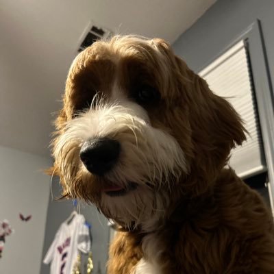 Sdeezy87's profile picture. 