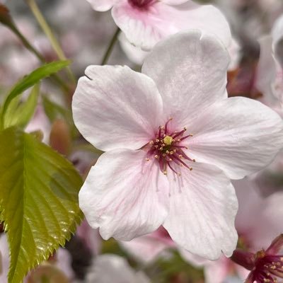 サミーたいがーさんのプロフィール画像