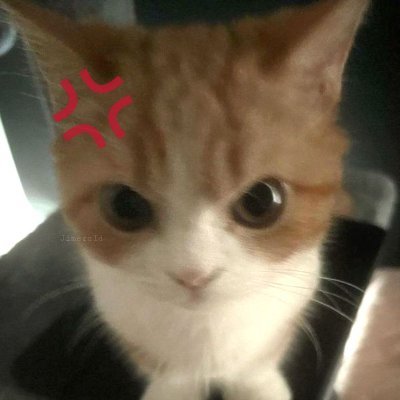 choong_tzu's profile picture. personal use only