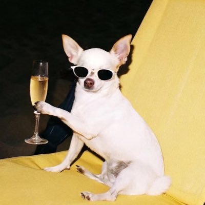 cynicalsoul___'s profile picture. 