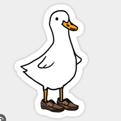 duckduckgo02's profile picture.