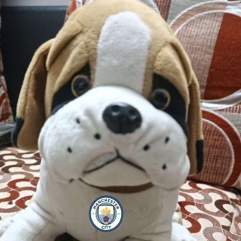 Man City, Kevin De Bruyne, Mumbai Indians. Blue is the color, bold like no other. 🩵💙