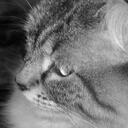 J. Emily Guy - @JEmilyGuy - Twitter